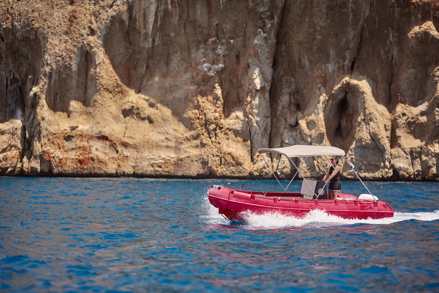 Whally 500-No License Required