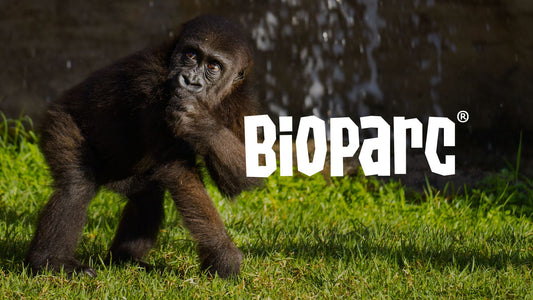 BioParc Valencia