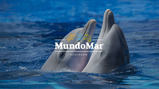 MundoMar Benidorm