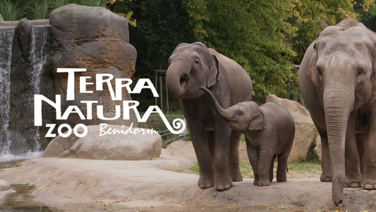 Terra Natura Zoo