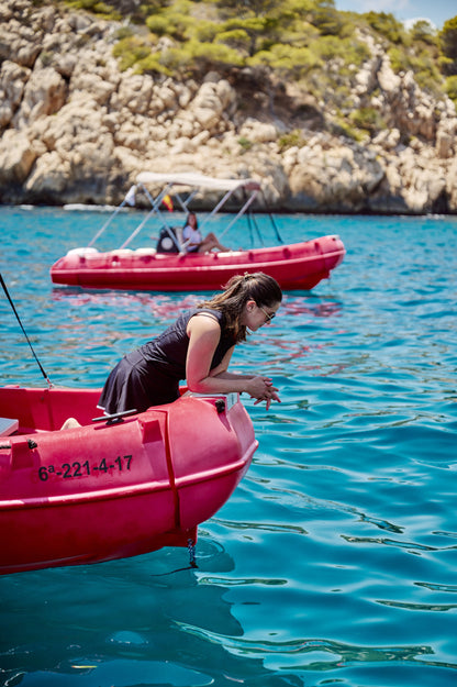 Whally 500-No License Required